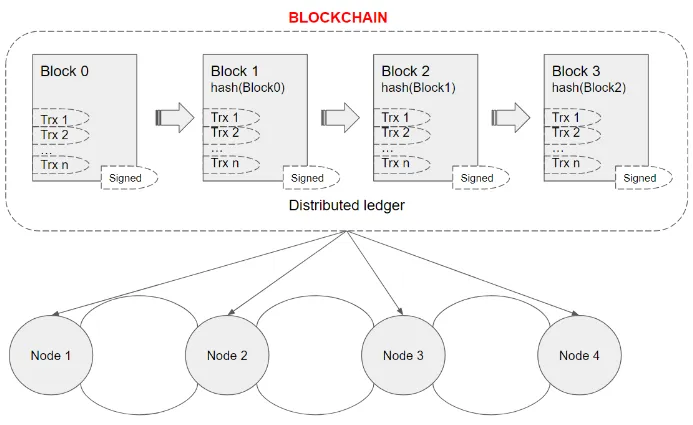 Project Structure