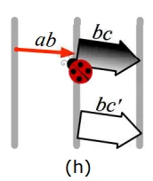 Project Structure