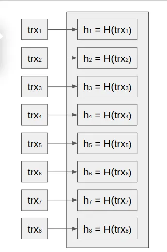 Project Structure
